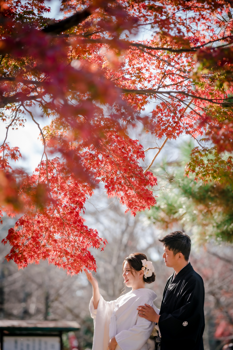 ❁　１１月後半紅葉ロケーション撮影　❁ ④
