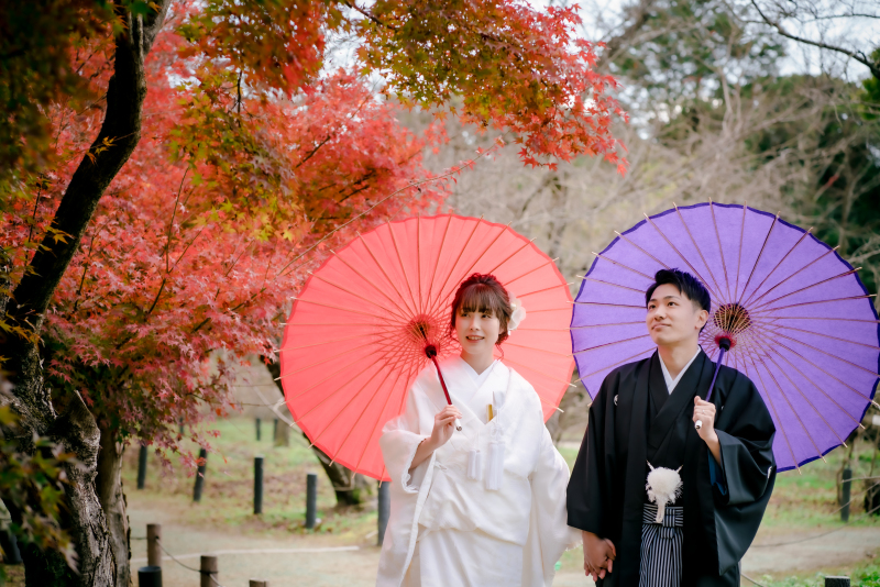 ❁ 紅葉の見どろをご紹介 ❁ 11月後半編⑤
