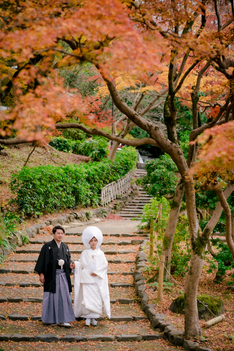 ❁　12月前半 冬の撮影風景　❁④