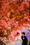 ❁ 紅葉の見どろをご紹介 ❁ 11月後半編⑤