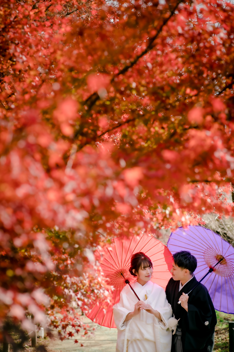 ❁ 紅葉の見どろをご紹介 ❁ 11月後半編⑤