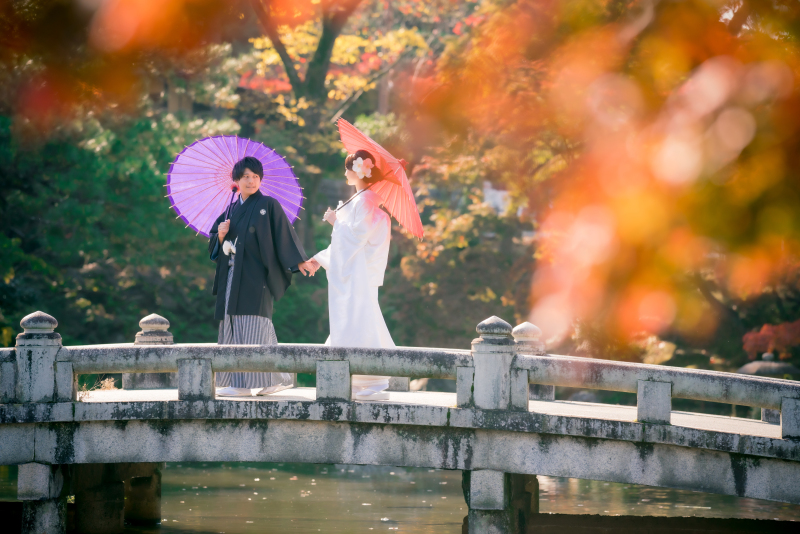 ❁ 紅葉の見どころをご紹介 ❁ 11月後半編
