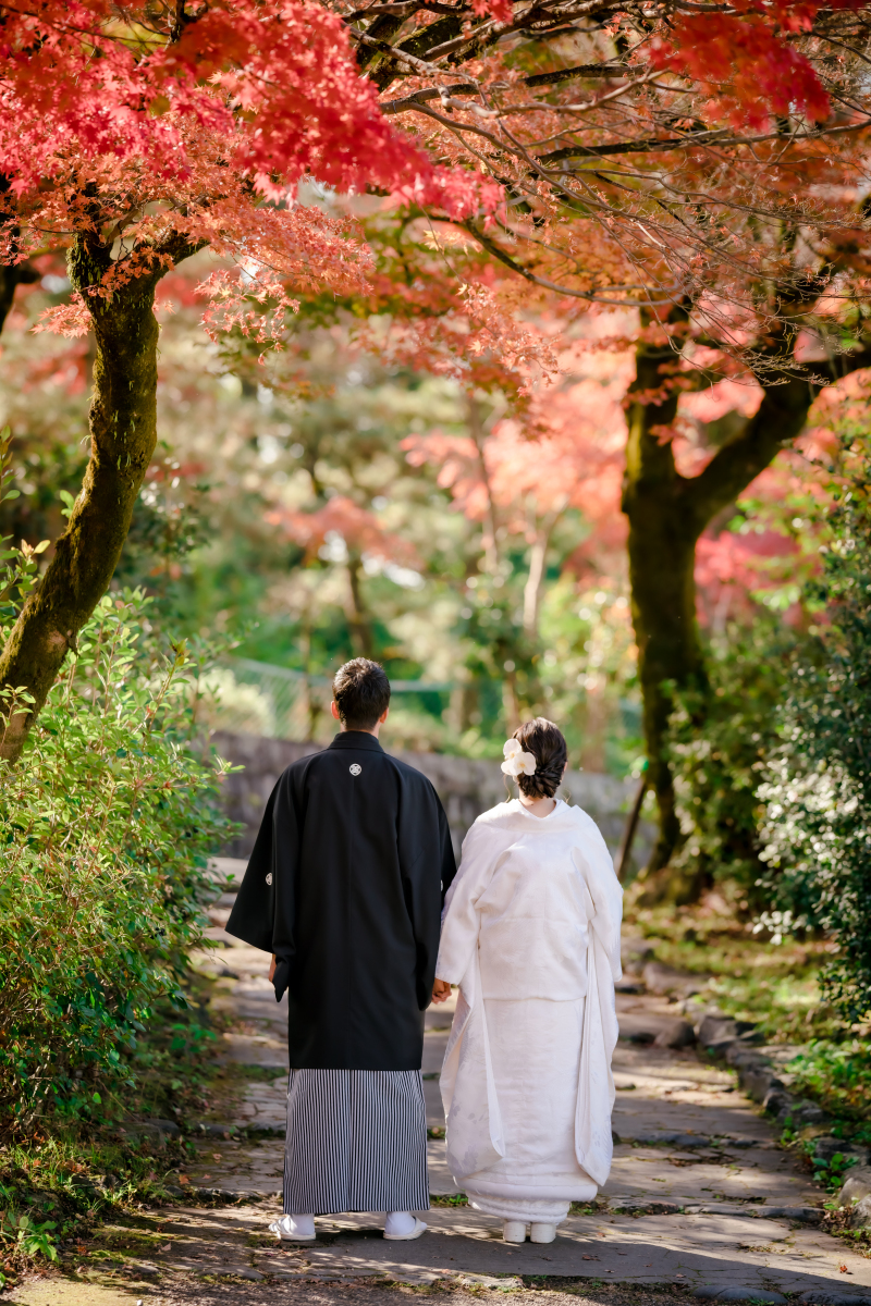 ❁　１１月後半紅葉ロケーション撮影　❁ ④