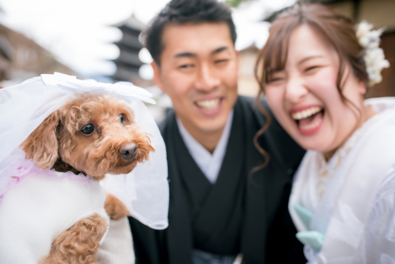 ❁ ワンコと前撮り ❁