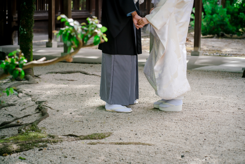 ❁　キャンペーン情報　❁