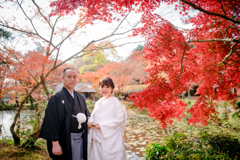 ❁ 11月後半紅葉ロケーション撮影 ❁ ③