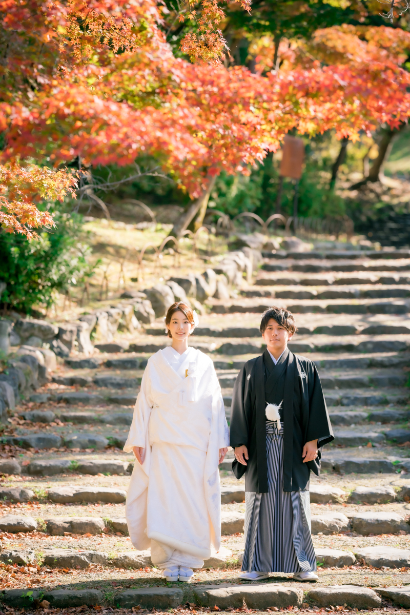 ❁ 紅葉の見どころをご紹介 ❁ 11月後半編