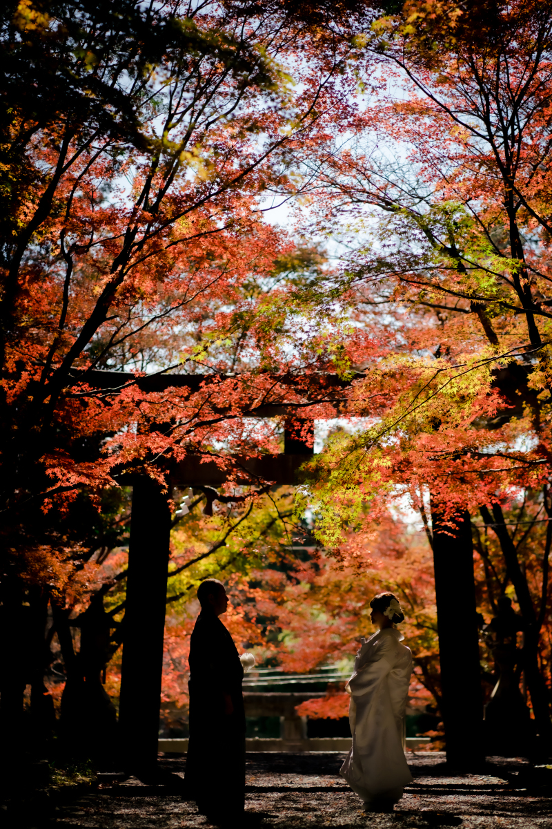 ❁ 11月後半紅葉ロケーション撮影 ❁ ③