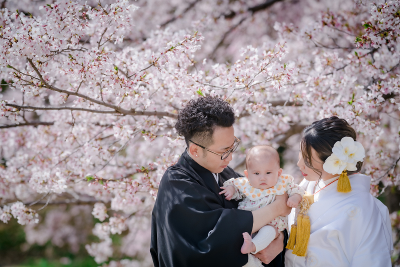 ❁　桜ロケーション撮影　❁ ② ファミリーフォト 後編
