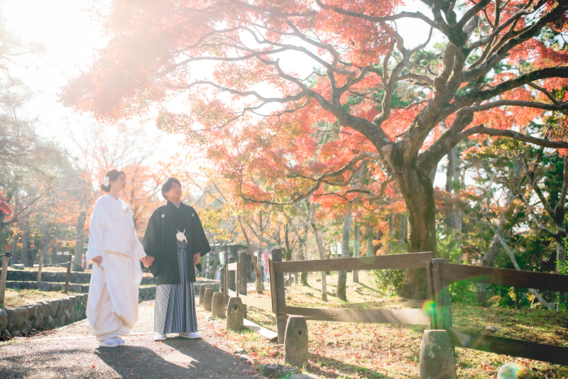 ❁ 紅葉の見どころをご紹介 ❁ 11月後半編