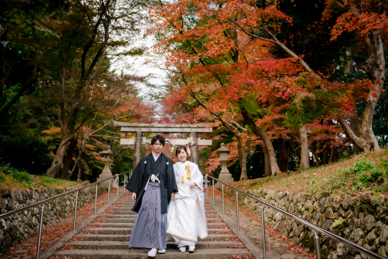 ❁ 紅葉の見どころをご紹介 ❁ 11月後半編④