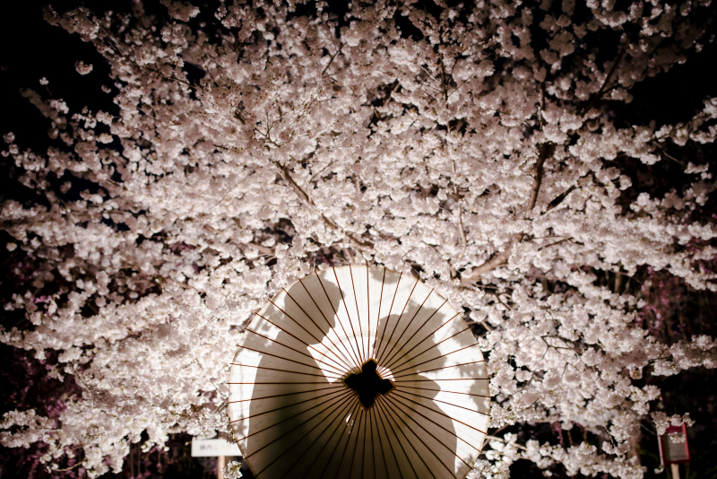 ❁ナイトフォトプラン❁ 1
