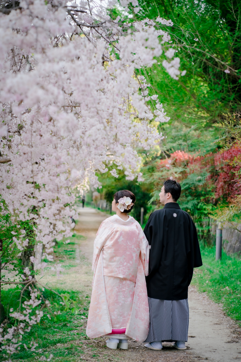 ❁　桜ロケーション撮影　❁ ⑤ 後編