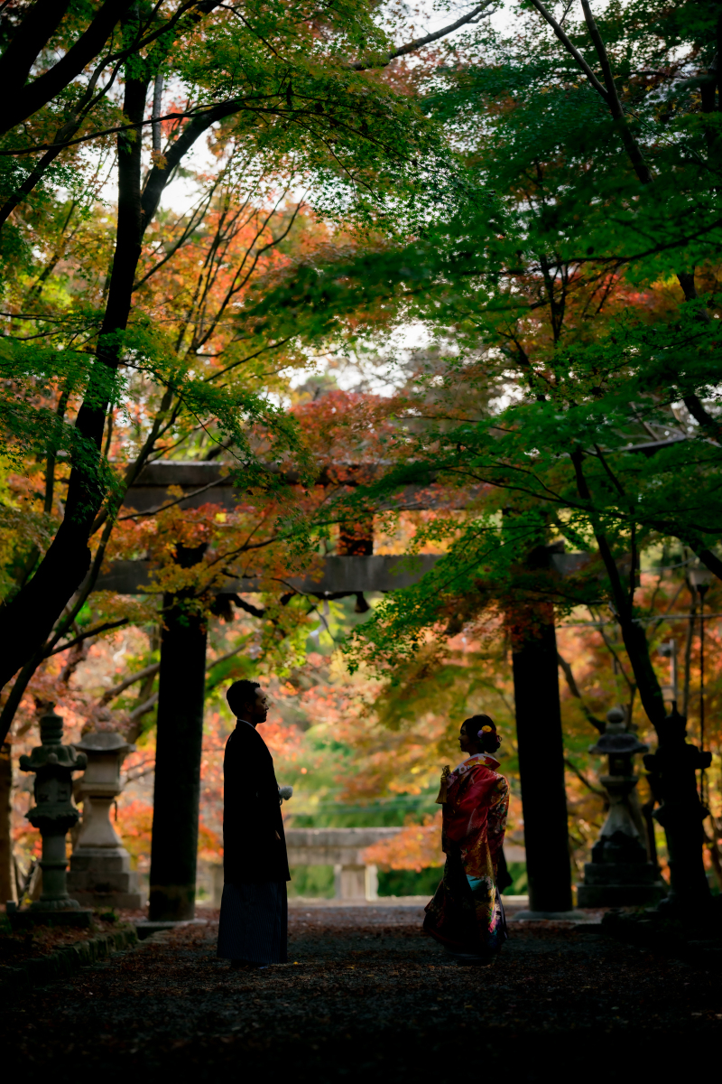 ❁ 紅葉の見どころをご紹介 ❁ 11月後半編