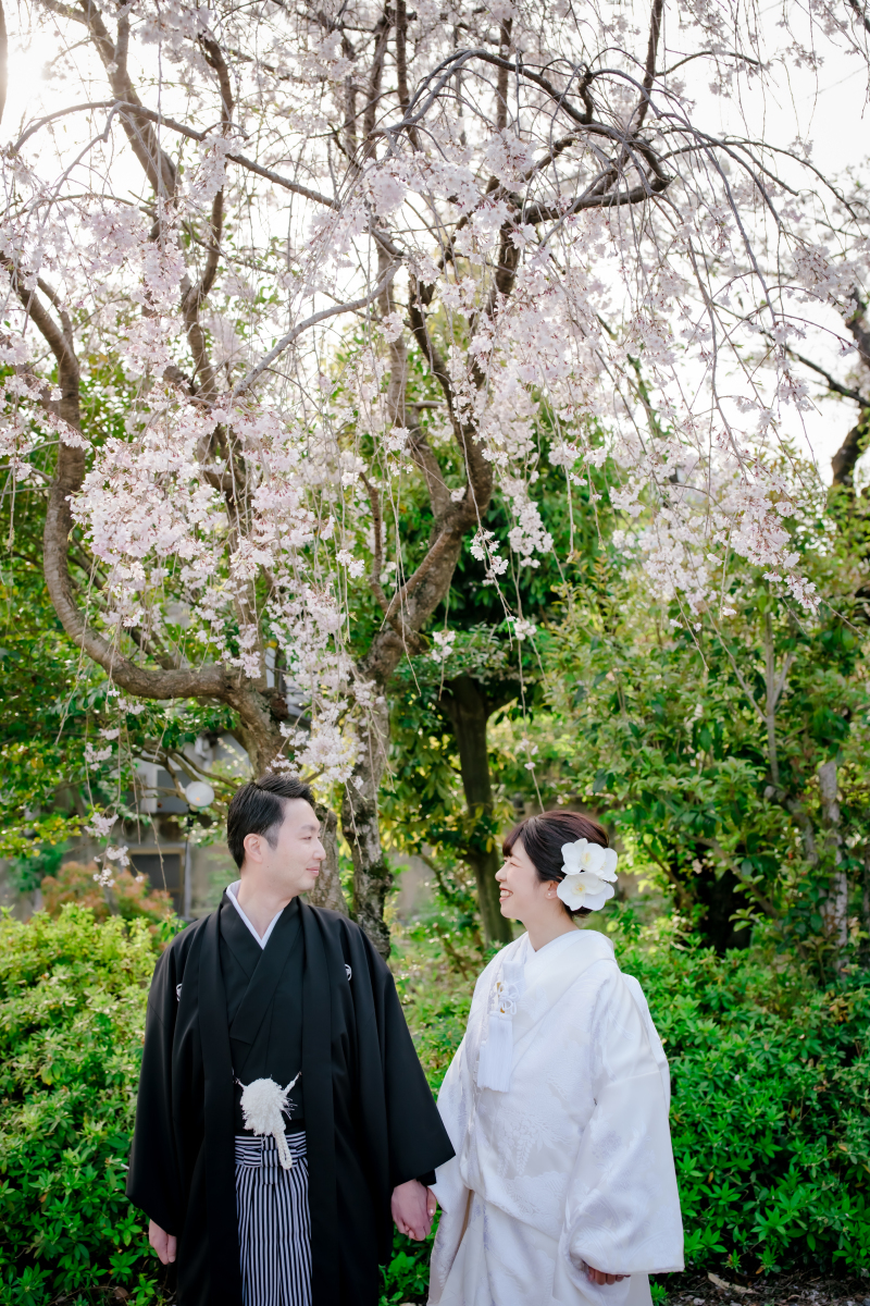  ❁　桜ロケーション撮影　❁ ⑤ 前編