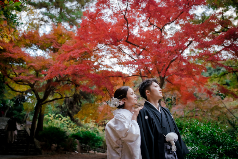 ❁　キャンペーン情報　❁