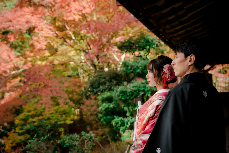 ❁ 紅葉の見どろをご紹介 ❁ 11月後半編⑦