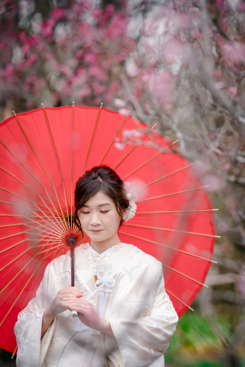 ❁　2月の梅　❁ ③