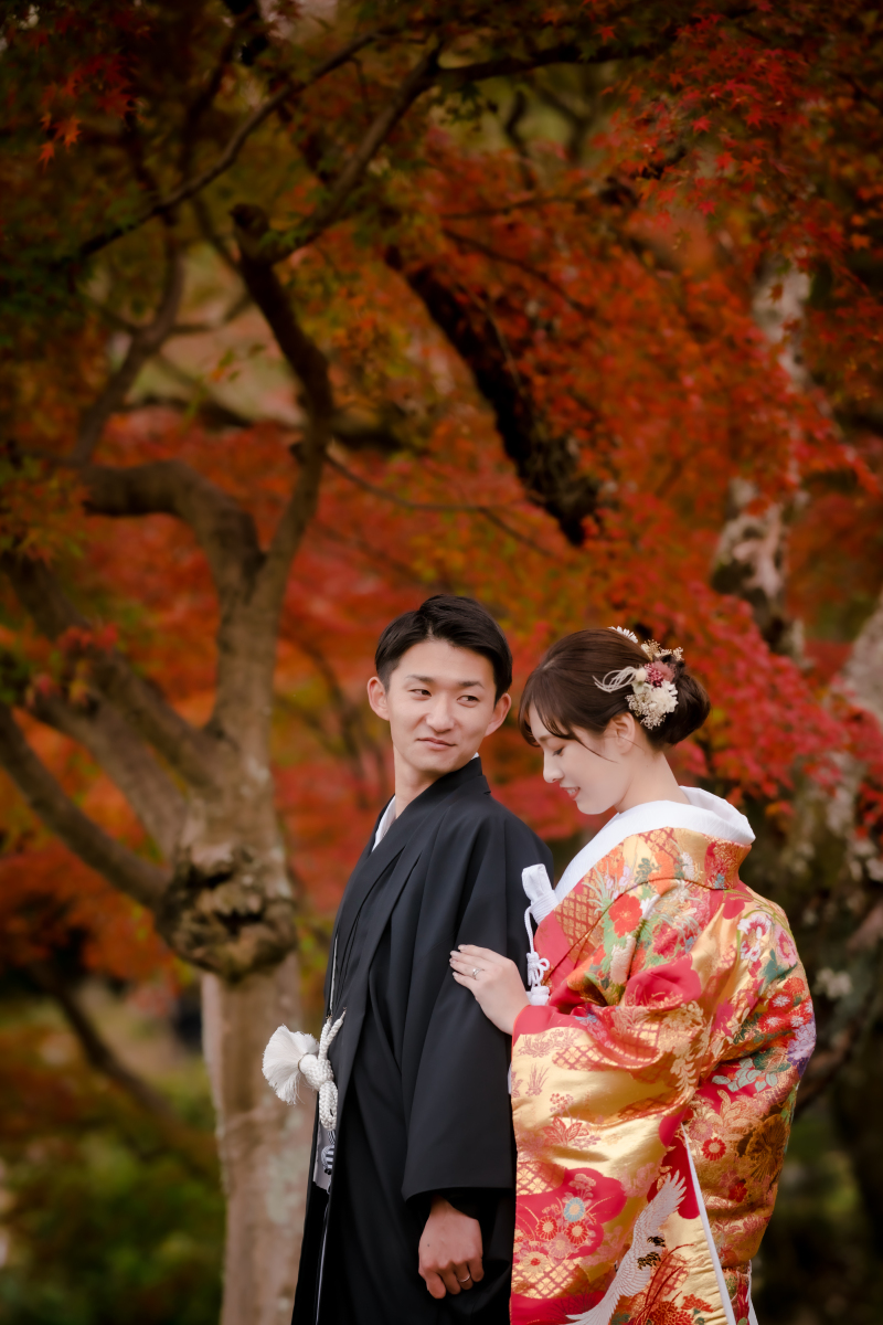  ❁ 紅葉の見どろをご紹介 ❁ 11月後半編⑥