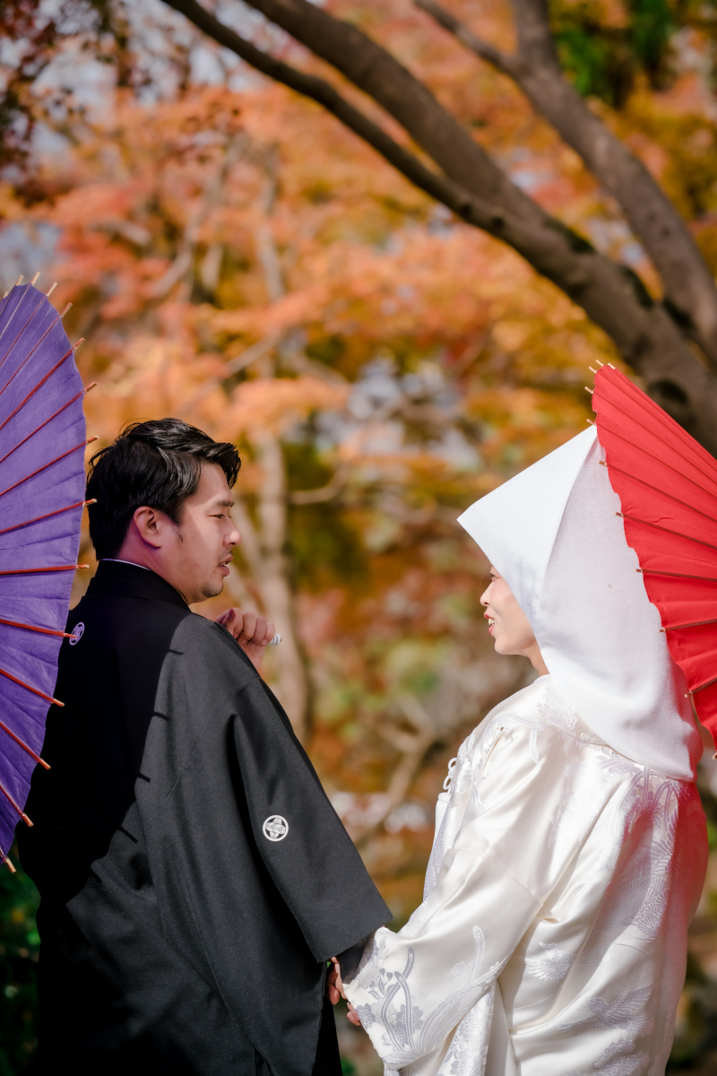 ❁　12月前半 冬の撮影風景　❁④