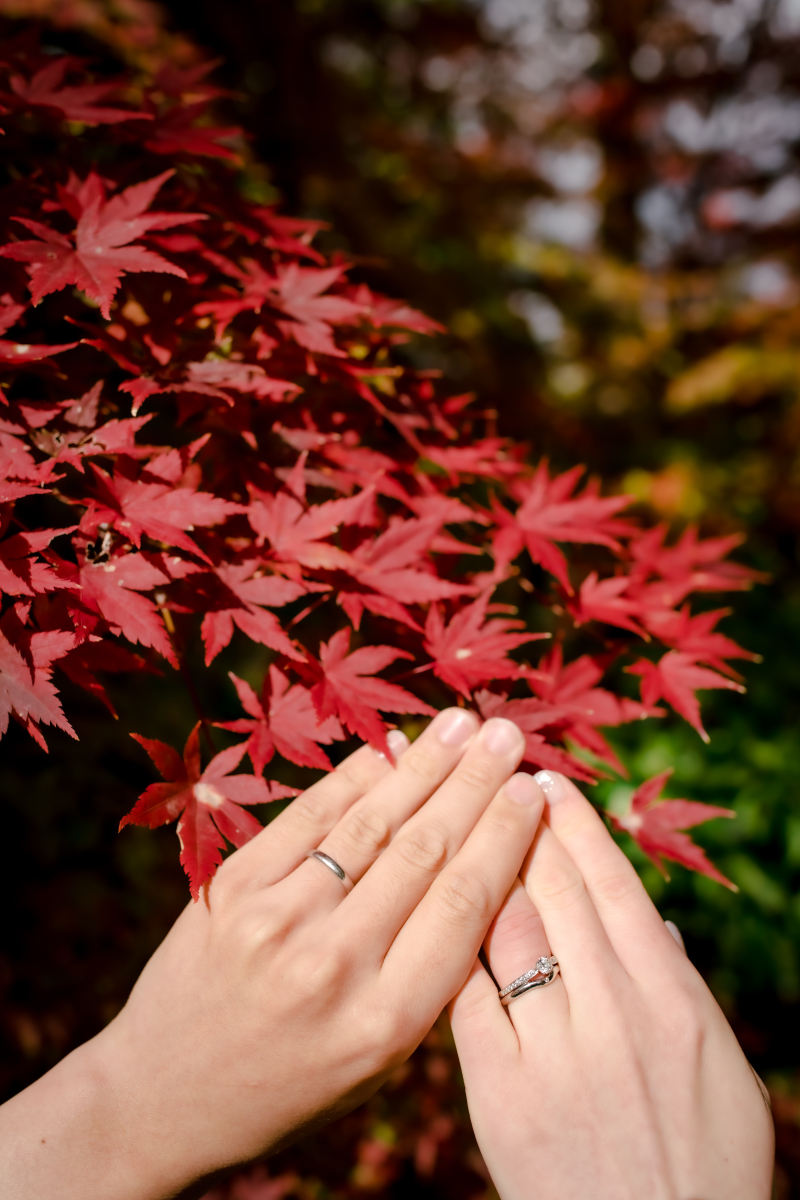 ❁ 紅葉の見どろをご紹介 ❁ 11月後半編⑤