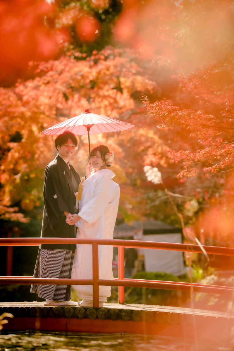 ❁ 紅葉の見どころをご紹介 ❁ 11月後半編④