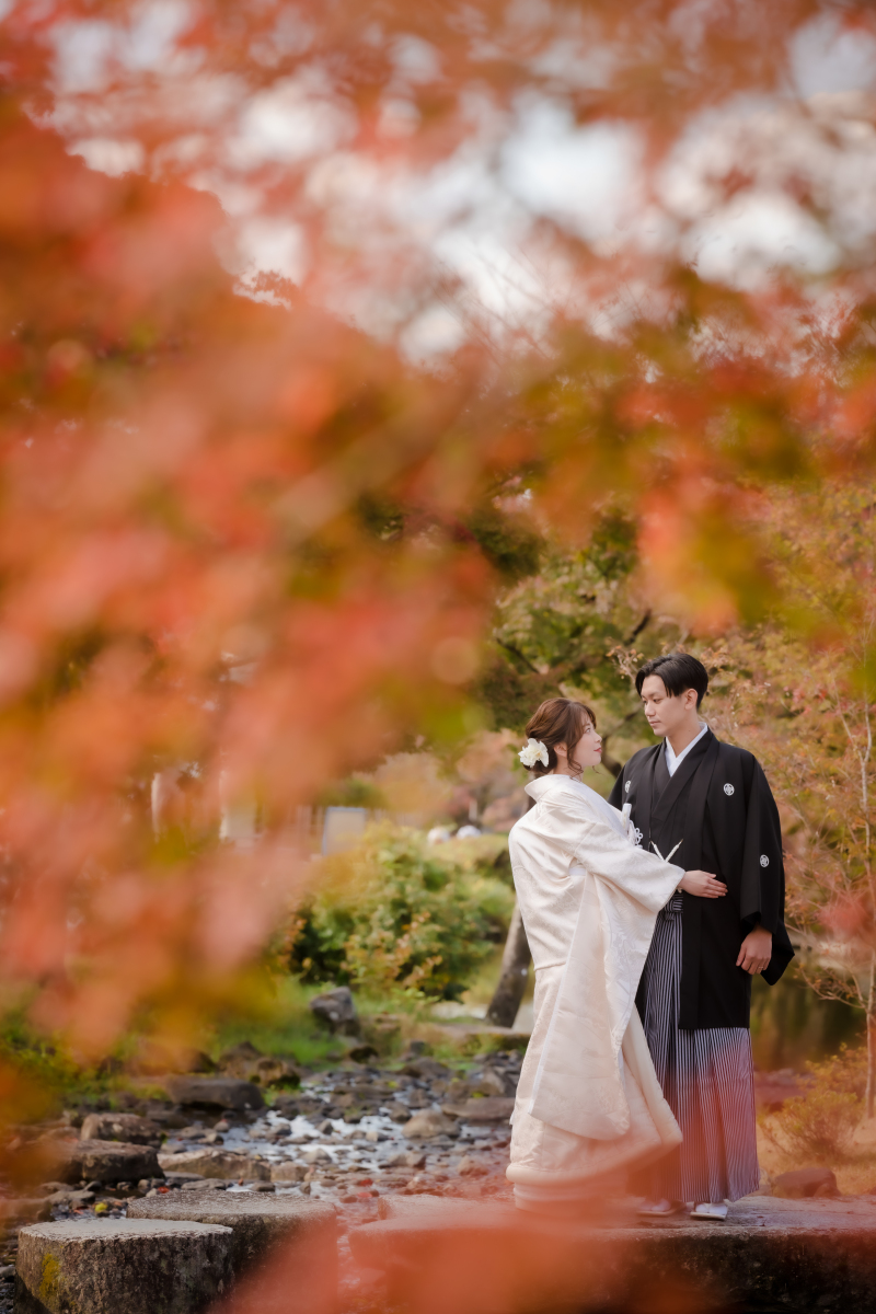 ❁ 紅葉の見どころをご紹介 ❁ 11月前半編