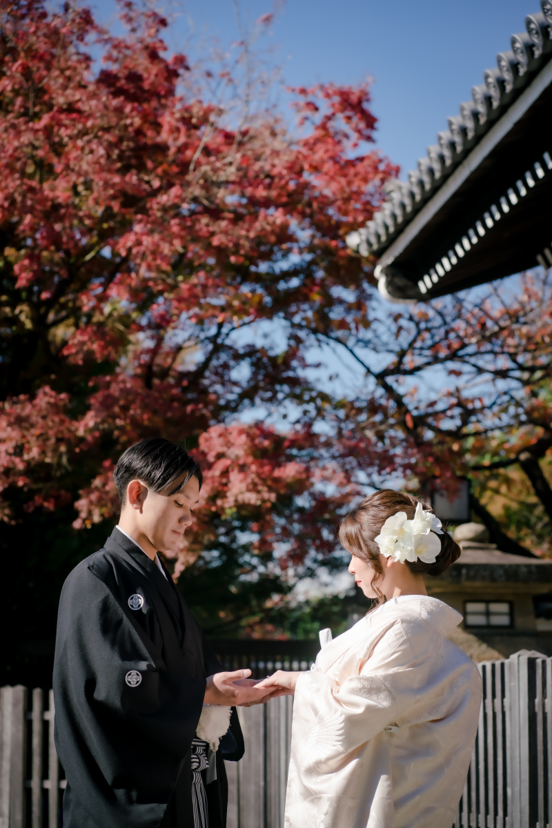 ❁ 紅葉の見どころをご紹介 ❁ 11月前半編