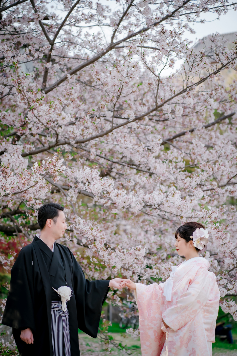 ❁　桜ロケーション撮影　❁ ⑤ 後編