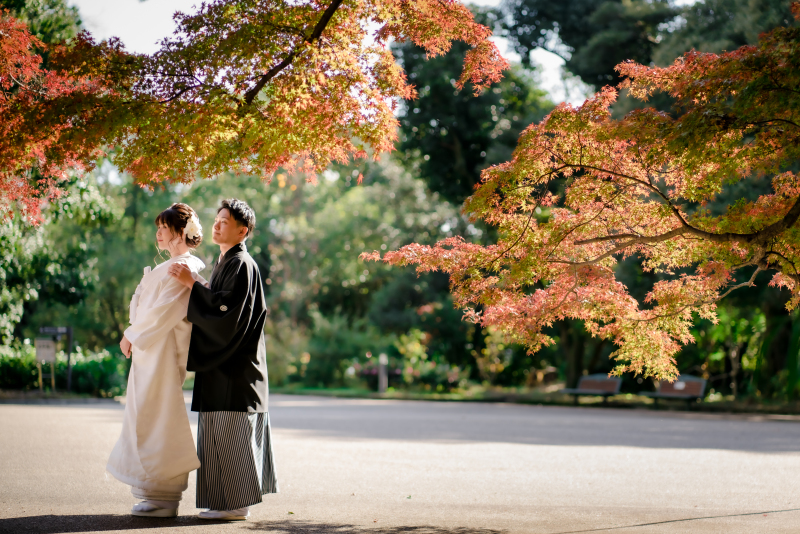 ❁ 紅葉の見どろをご紹介 ❁ 11月後半編⑤