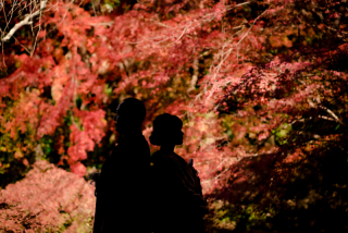 ❁ 紅葉シーズンのご予約枠も残り僅か! ❁