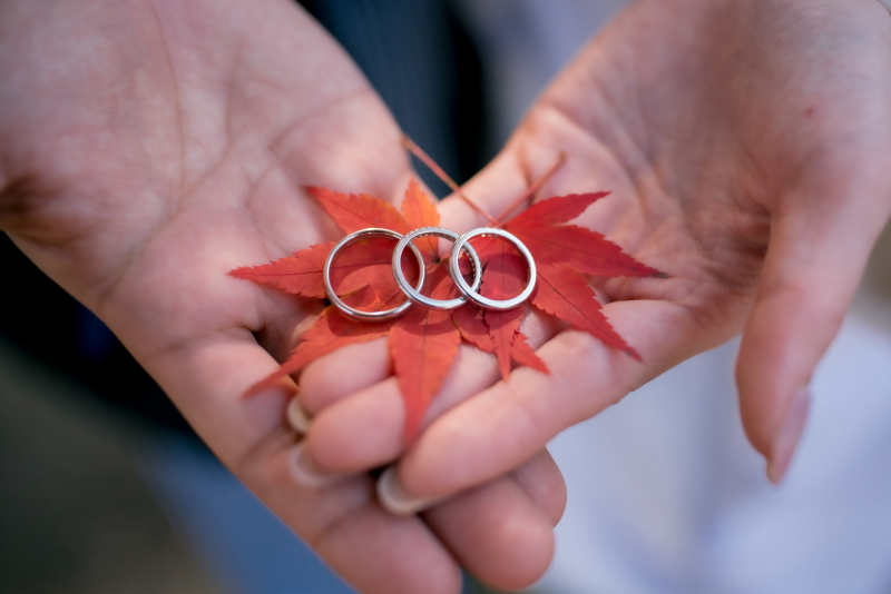 ❁ 紅葉の見どころをご紹介 ❁ 11月後半編