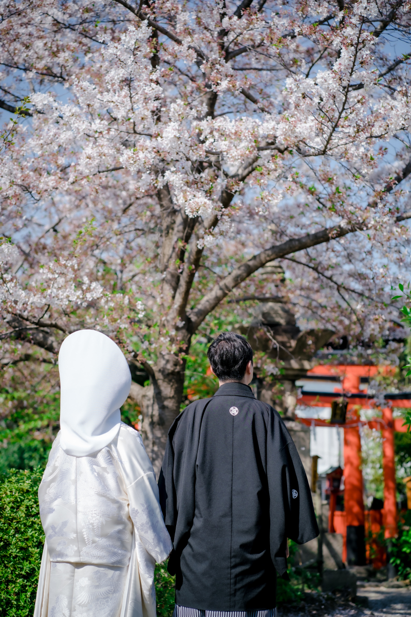  ❁　桜ロケーション撮影　❁ ⑤ 前編