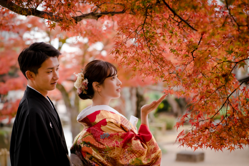  ❁ 紅葉の見どろをご紹介 ❁ 11月後半編⑥