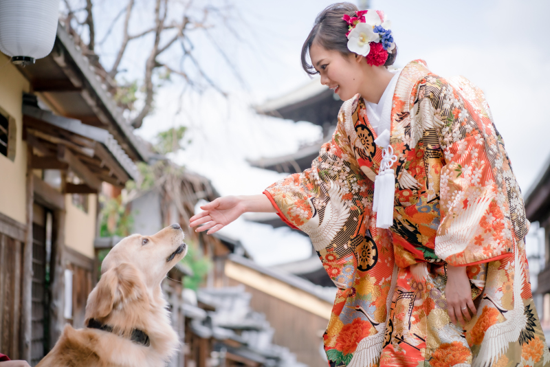 ❁ ワンコと前撮り ❁