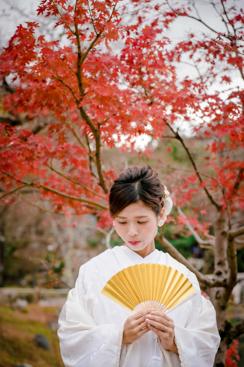 ❁　12月前半 冬の撮影風景　❁④