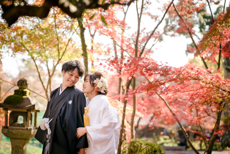 ❁ 紅葉の見どころをご紹介 ❁ 11月後半編④