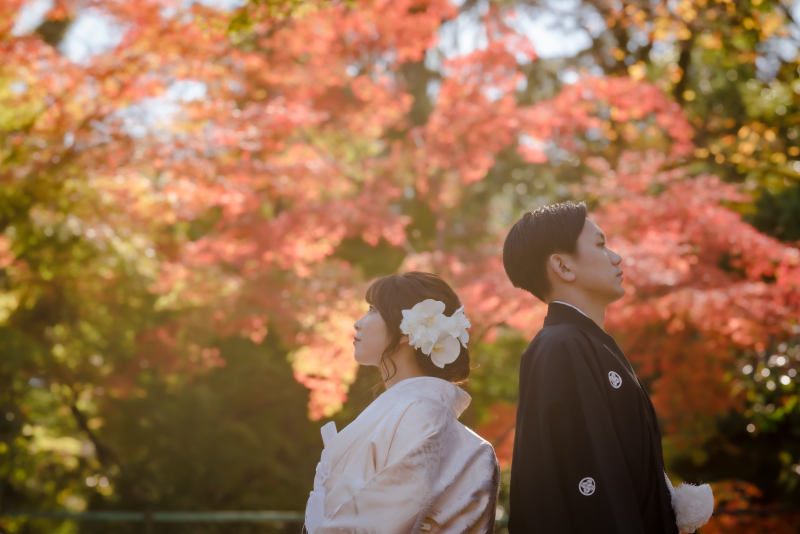 ❁ 紅葉の見どころをご紹介 ❁ 11月前半編