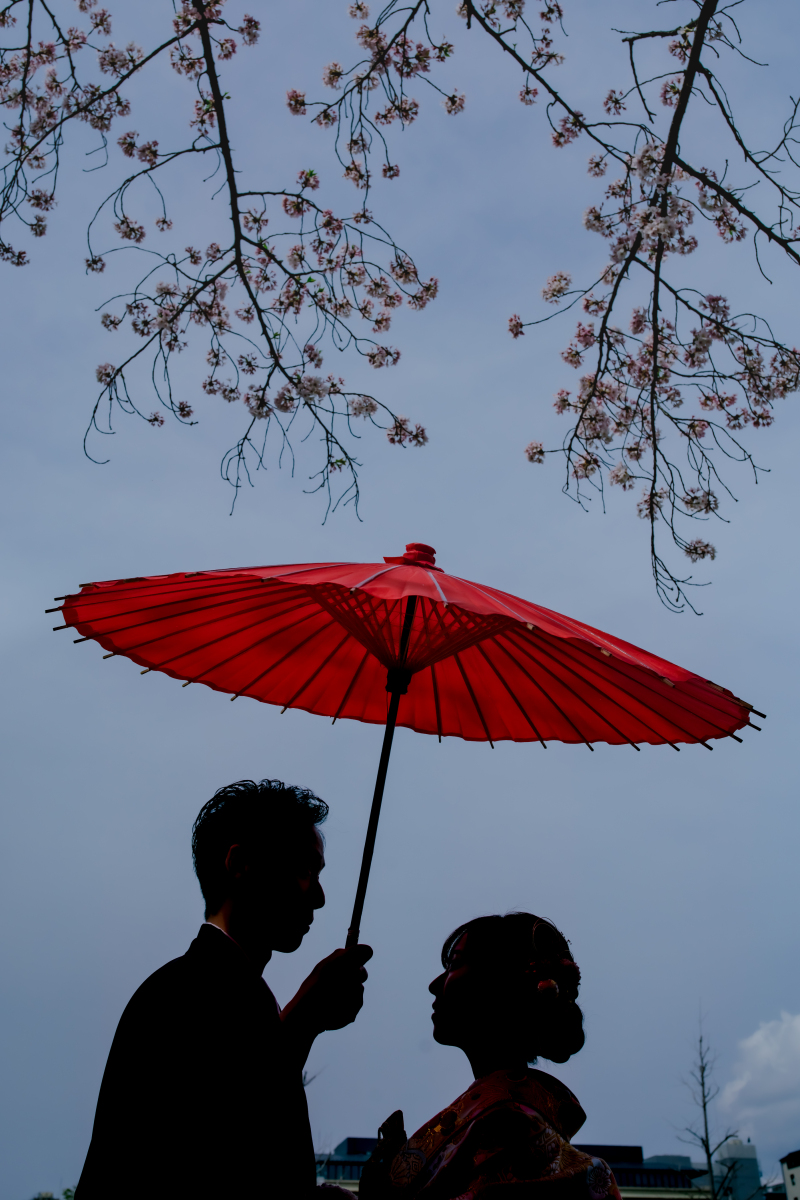 ❁　桜ロケーション撮影　❁ ➀ 前編