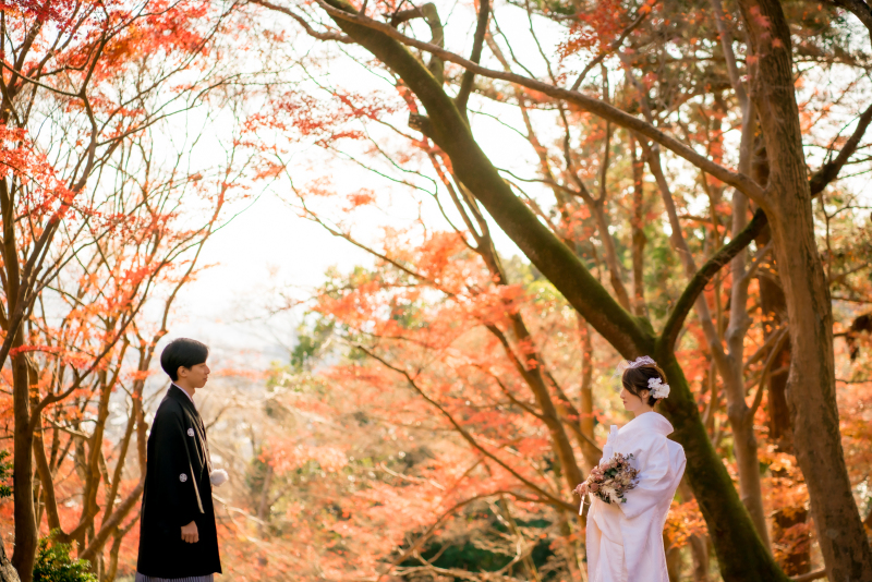 ❁　１２月前半紅葉ロケーション撮影　❁ ②