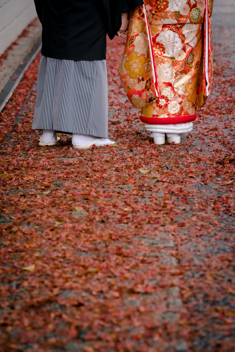 ❁ 色打掛紹介 ❁