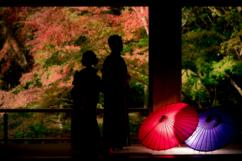 ❁ 紅葉の見どころをご紹介 ❁ 11月後半編