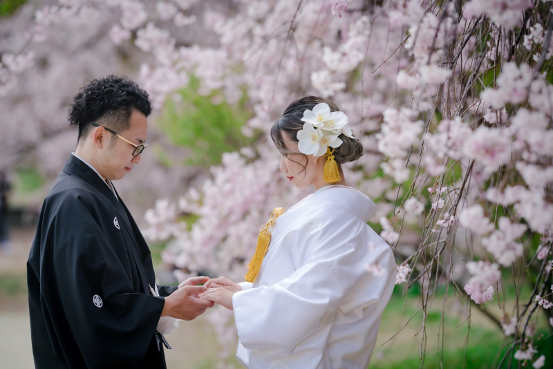 ❁　桜ロケーション撮影　❁ ② ファミリーフォト 後編