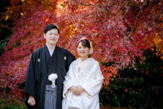 秋の紅葉スポットをご紹介！ ~過去の撮影11月後半編~　⑪