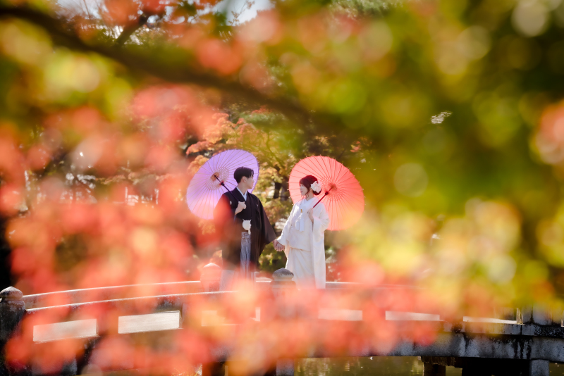 ❁ 紅葉の見どころをご紹介 ❁ 11月前半編