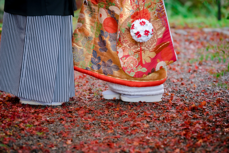  ❁　１１月後半紅葉ロケーション撮影　❁ ➀