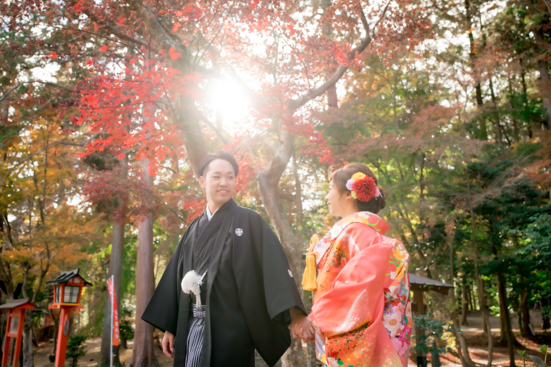 ❁ 紅葉の見どころをご紹介 ❁ 11月後半編