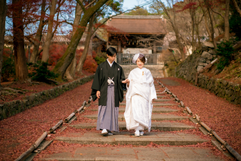 ❁　１２月前半紅葉ロケーション撮影　❁ ②