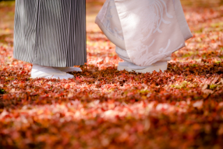 ❁ 11月後半紅葉ロケーション撮影 ❁ ②