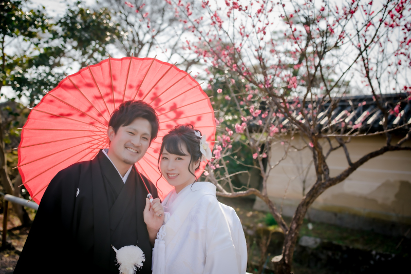 ❁　2月の梅　❁